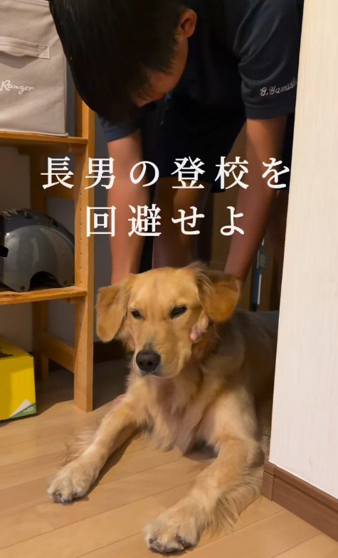 学校に行かせたくなくて通せんぼ!