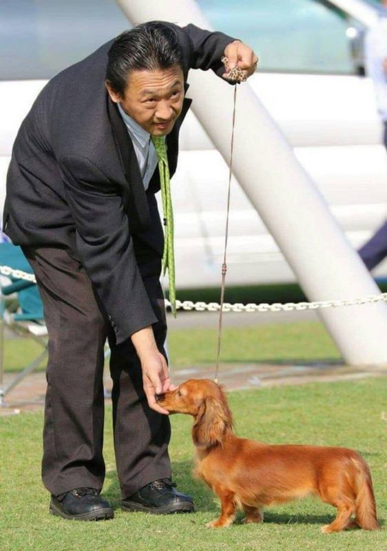 山嵜 正則ブリーダーのイメージ画像