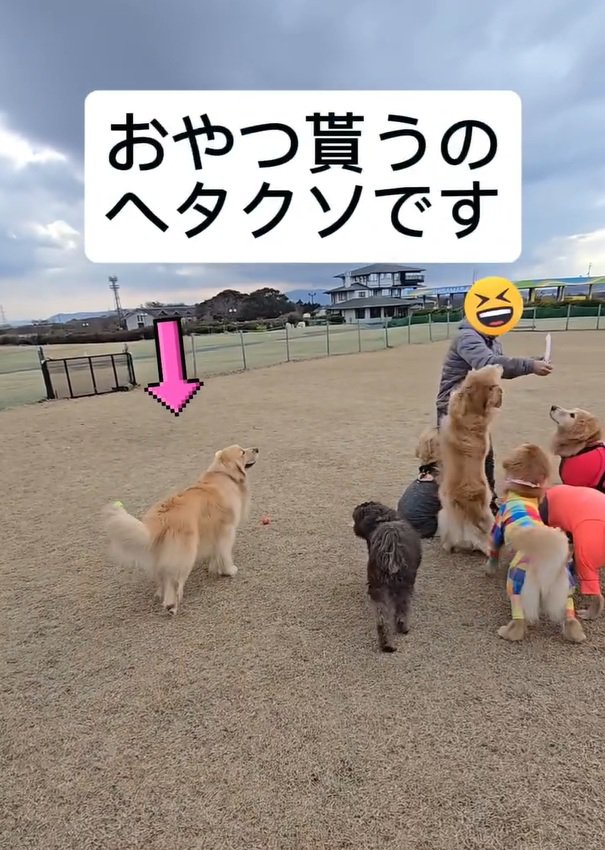 おやつがもらえないにこちゃん