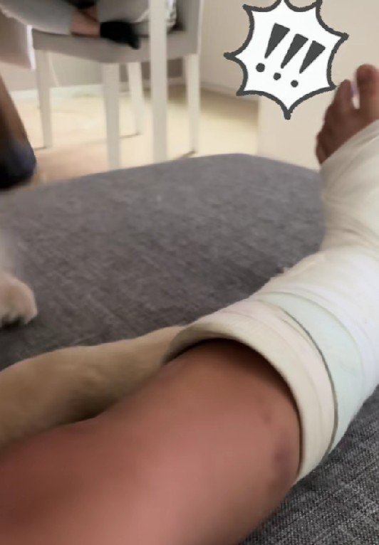 「やっぱりクサイ!!」