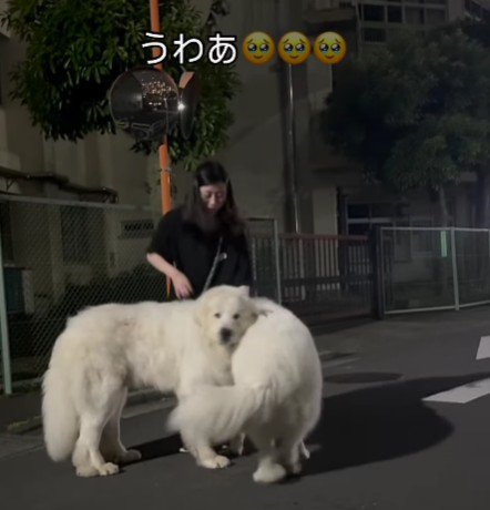 なんとか立った！！