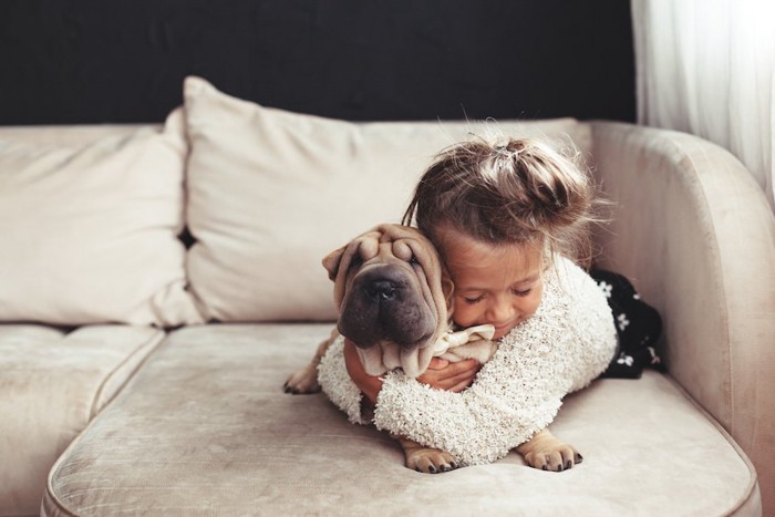 ソファーの上で子犬をハグする子供