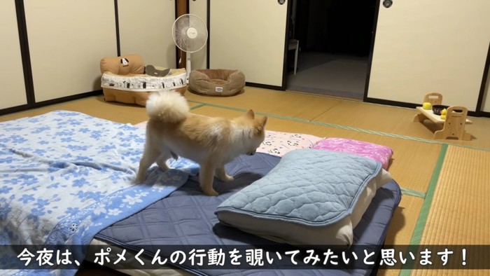 飼い主さんまだかな？