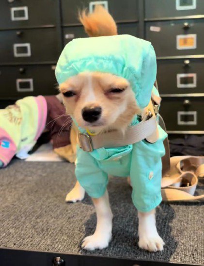 あからさまに不服そう