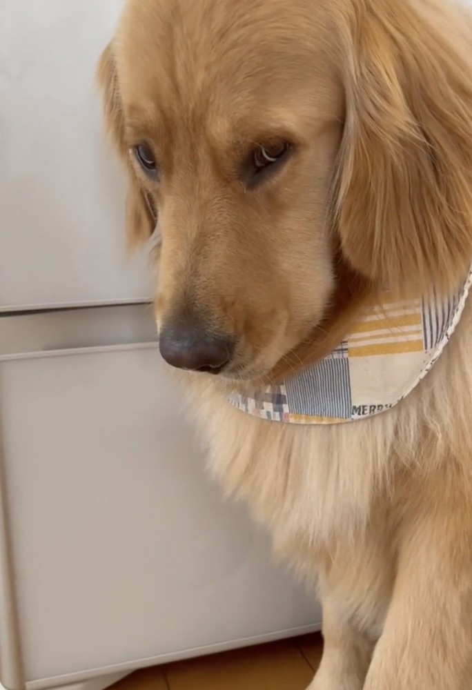 固まってオスワリ