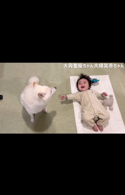 はしゃぐおまめ君＆笑う赤ちゃん8