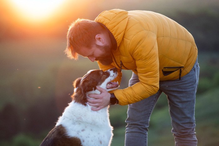 飼い主に褒められて幸せな犬