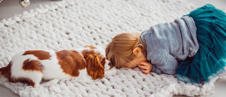 うずくまる子供と犬