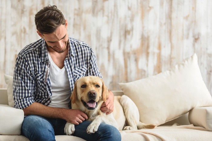 男性に寄り添ってソファーでくつろぐ犬