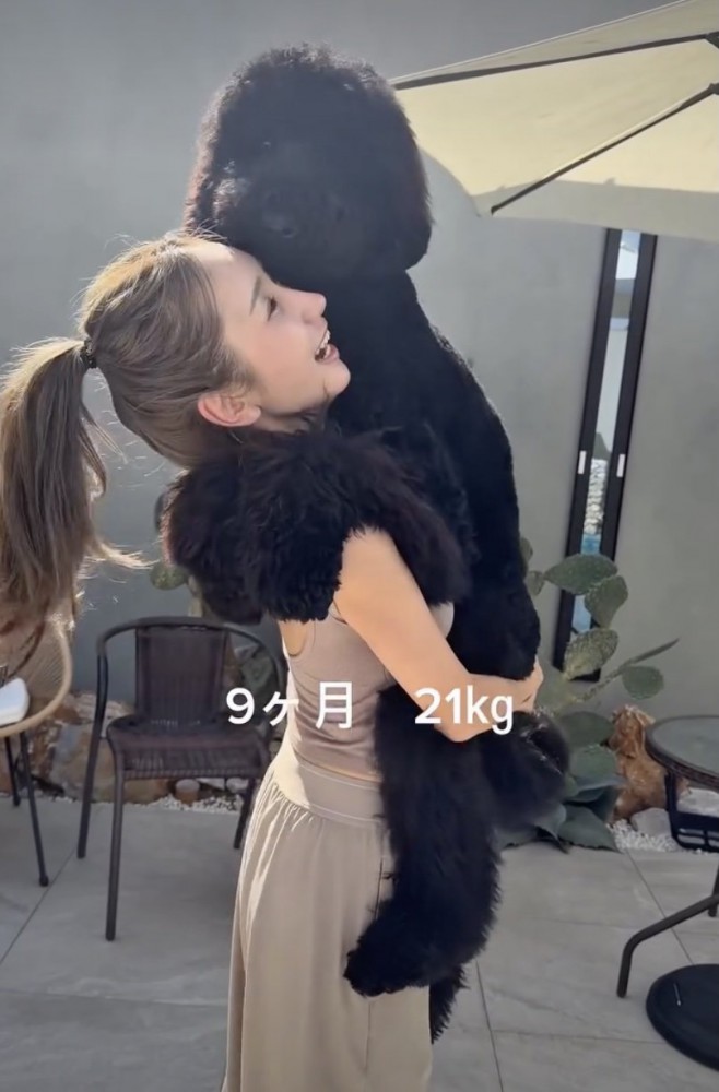 速すぎる成長!
