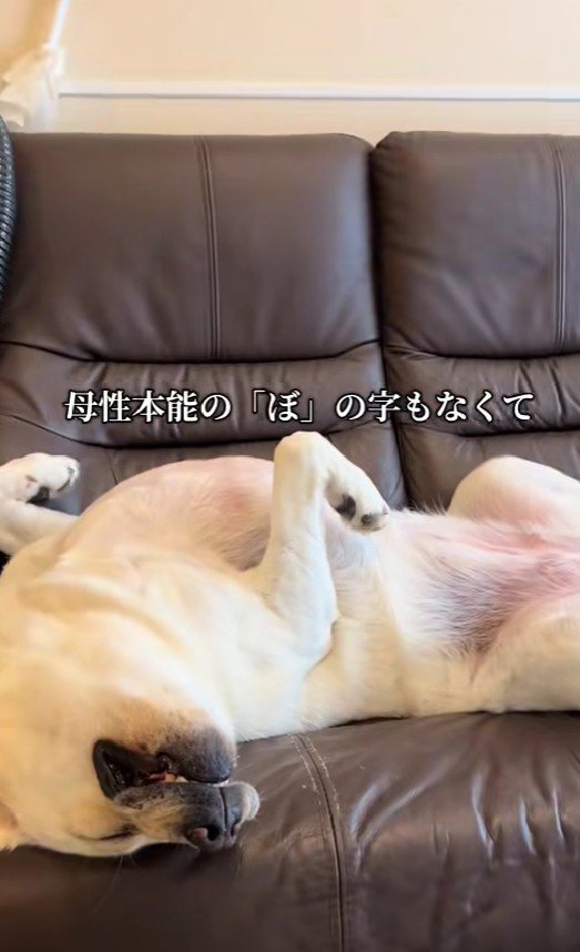 グースカ寝てる!!