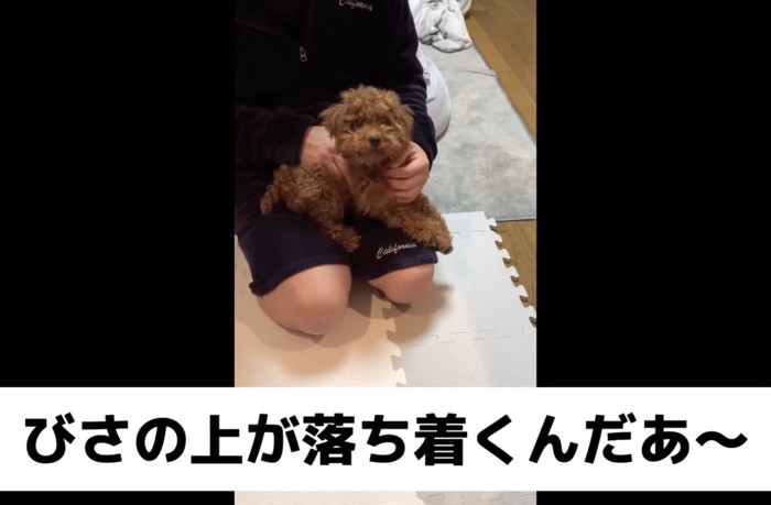 甘えん坊さんに