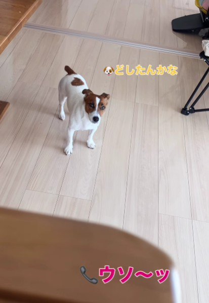 「うそ～」