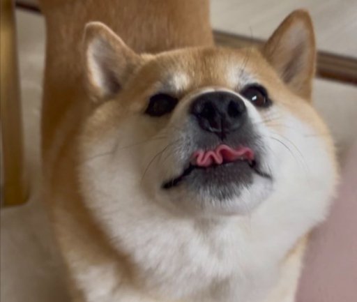 お茶目な