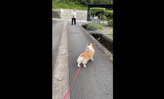 おばあちゃんの姿を確認