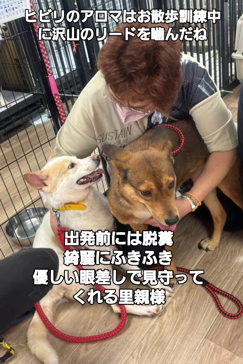 幸せを掴んだいっちゃん＆アロマちゃん8