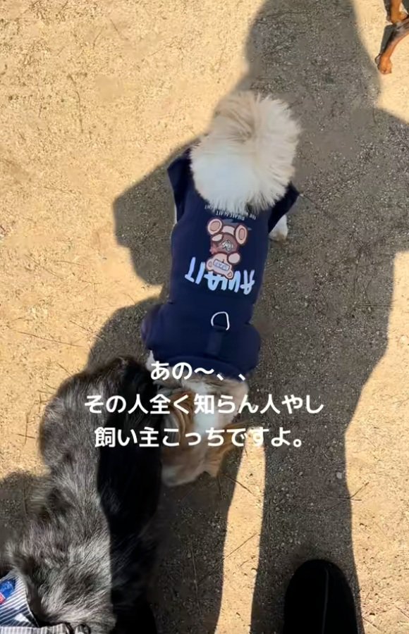 つぶやく飼い主さん
