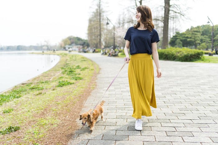 散歩する犬と女性