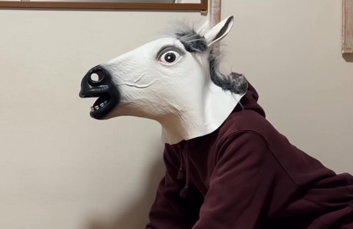 馬の被り物をして犬を見つめる飼い主