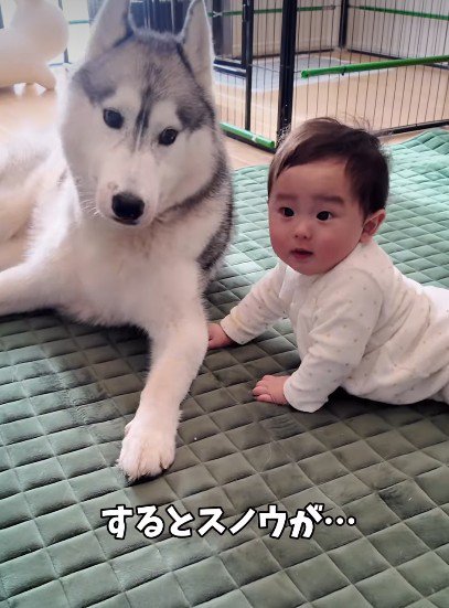 スノウちゃんに辿り着くと…