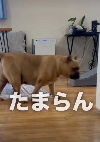 行きがけにチラ見することも