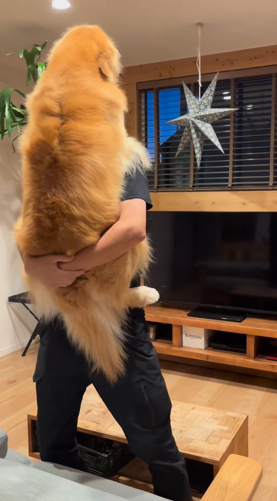 男性に抱っこされる犬