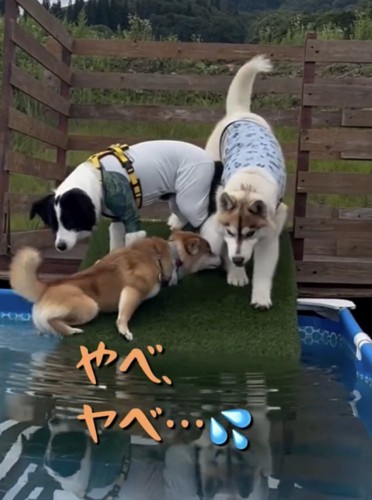 「落ちたくないぃ」