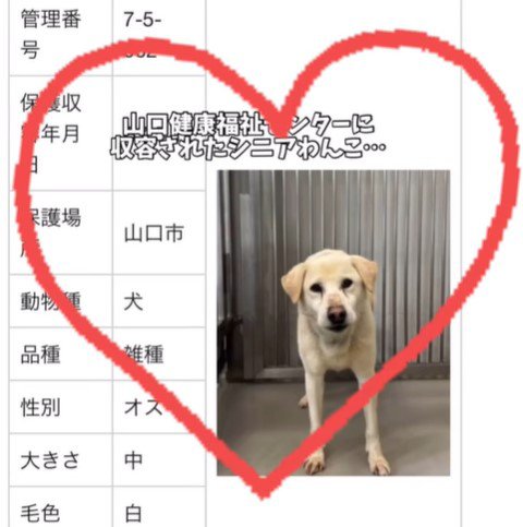 三郎くんが幸せを掴むまで
