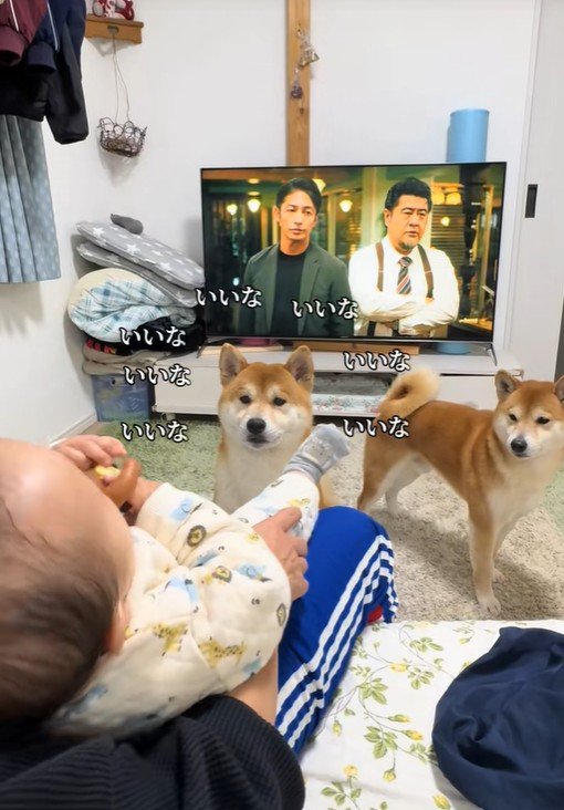 まだ諦めていない2匹