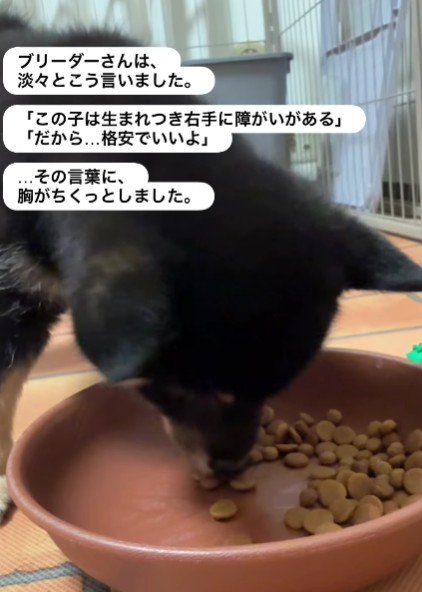 「破格でいいよ」