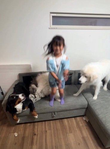 ソファの上で飛び跳ねる女の子