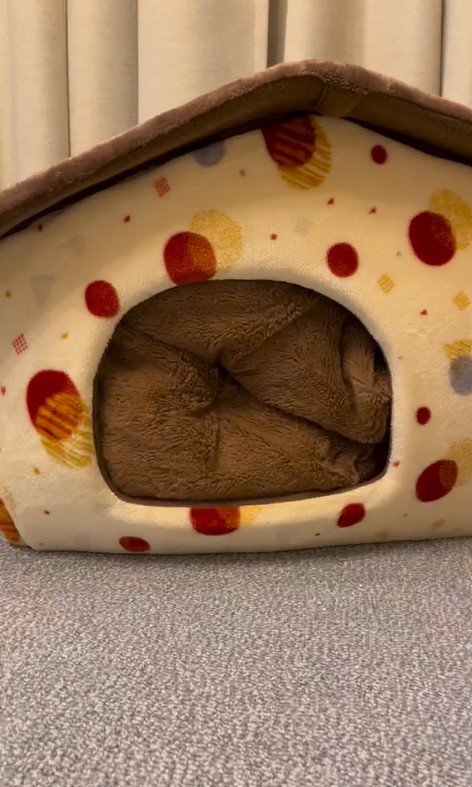 「おやつ」と聞いた文太くんの反応