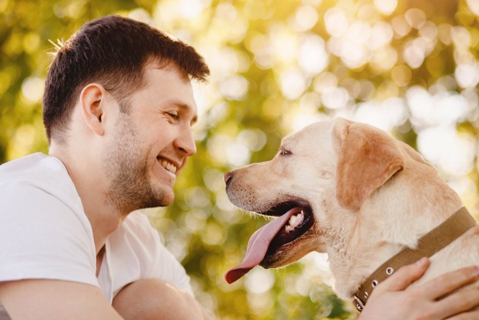 笑顔で見つめ合う男性と犬