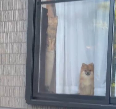 窓越し