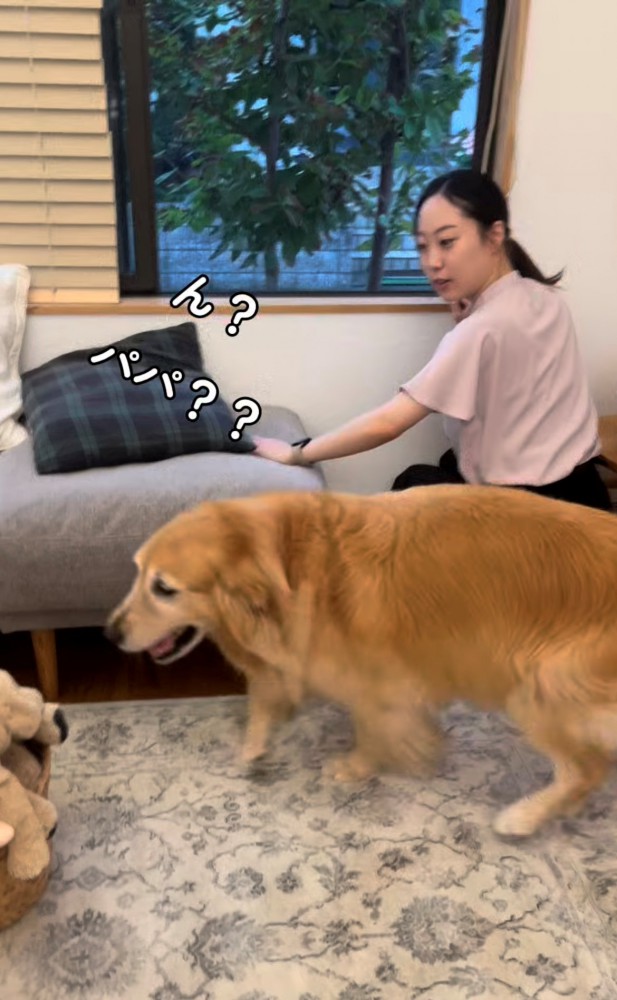 振り向く犬と人