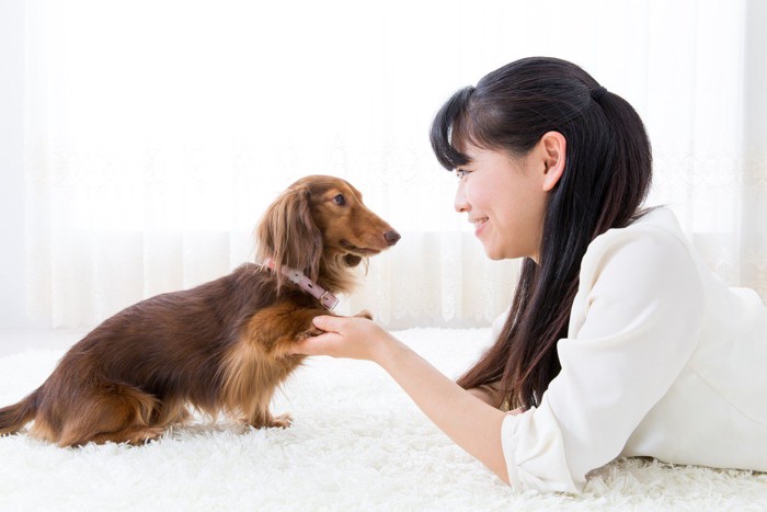 女性をじっと見つめる犬