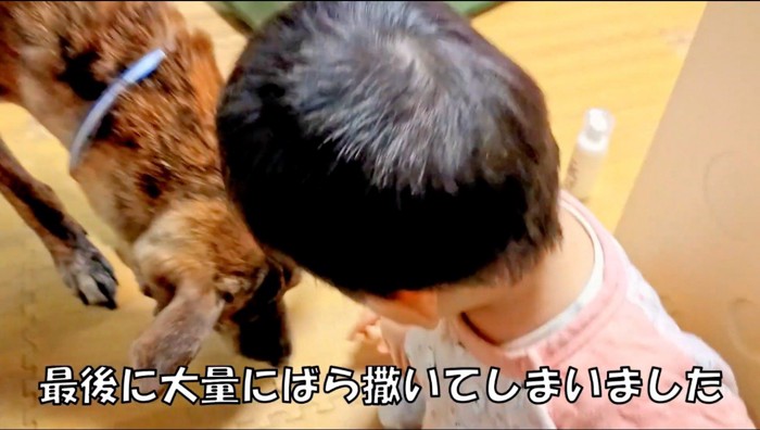 床に犬のおやつを置く赤ちゃん