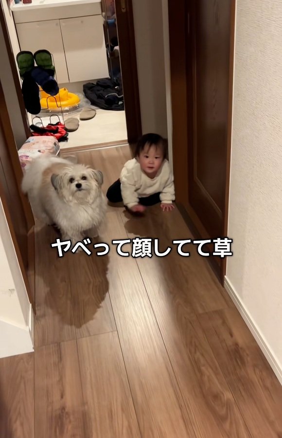 ママに気づいた小太郎くん