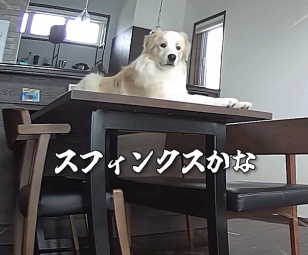 スフィンクス