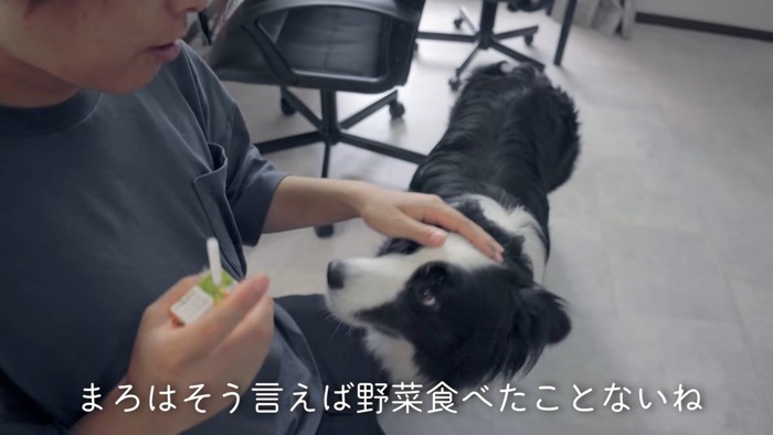 男性と犬