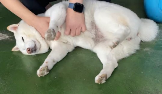 お仕事
