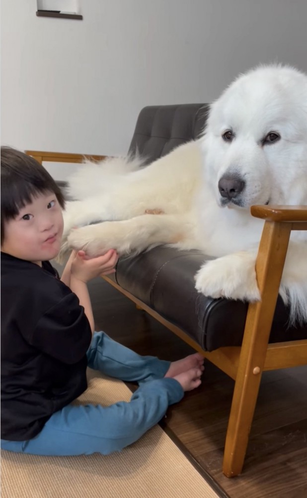 カメラ目線の犬と子供