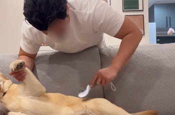 家に来て1ヶ月