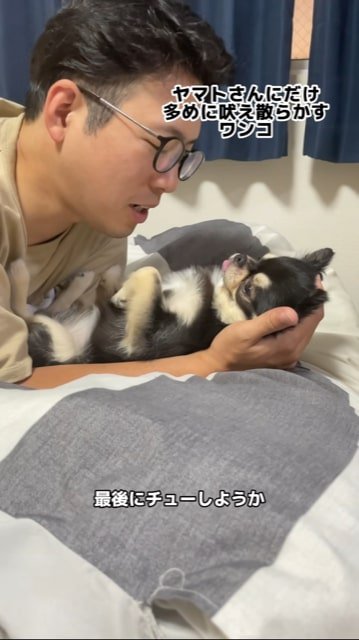 仲直りのキスを試みる飼い主