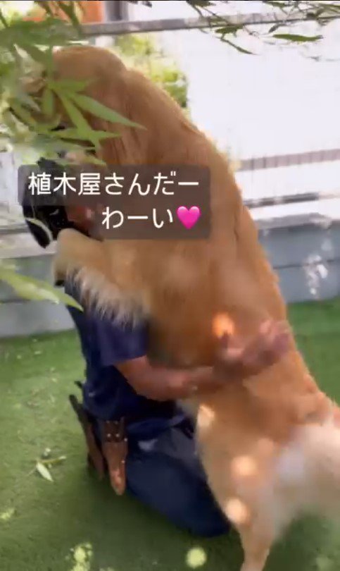 そら君と植木屋さんのふれあい
