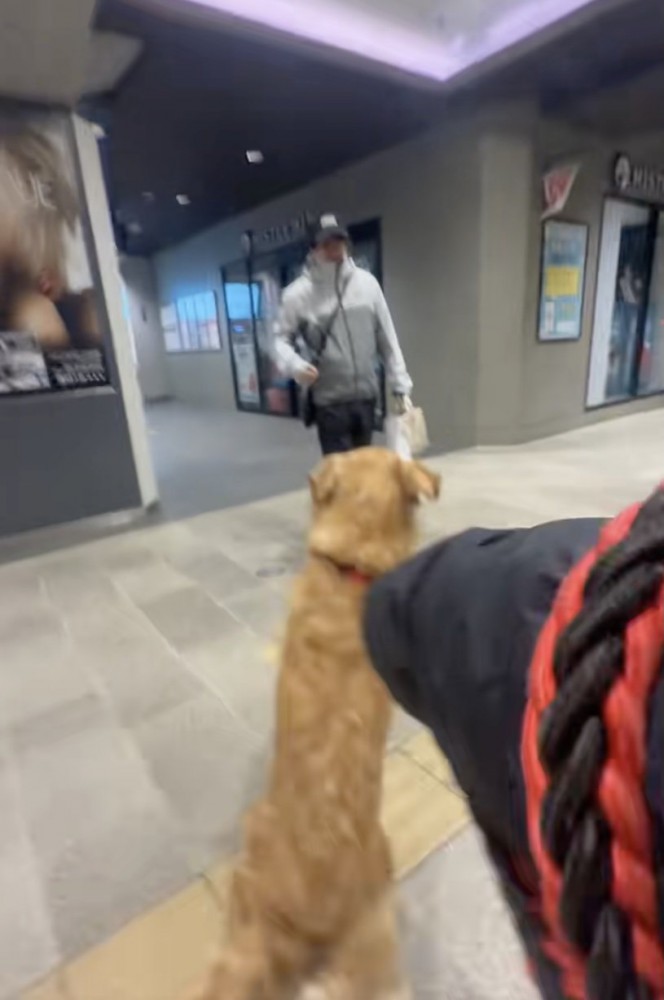 「おかえりぃぃ」