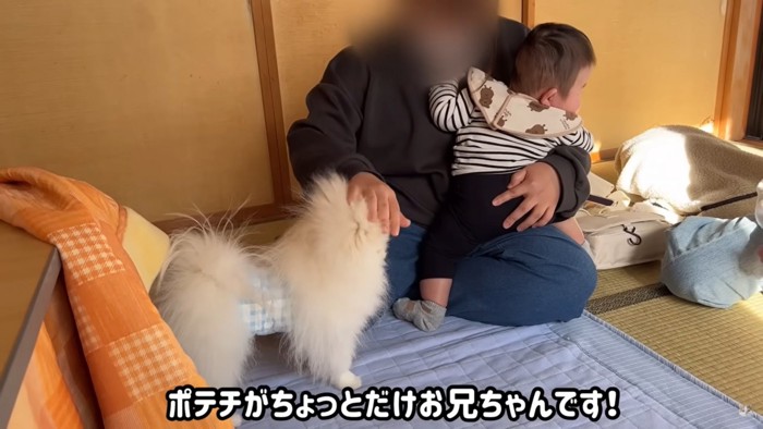 赤ちゃんを抱っこする人になでられる犬