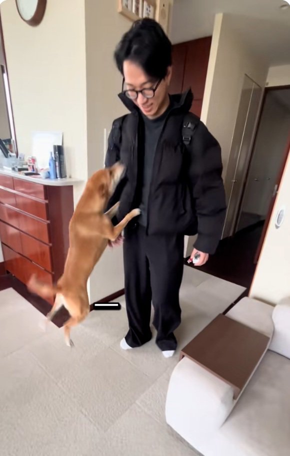 ジャンプするごぅちゃん