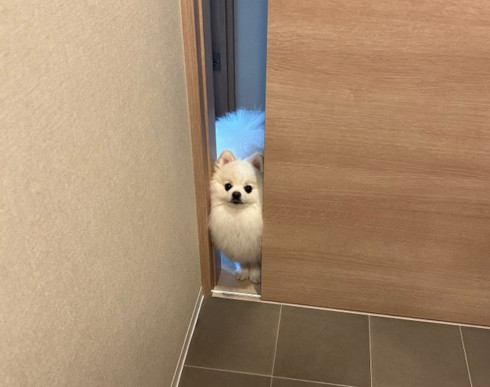 通れません