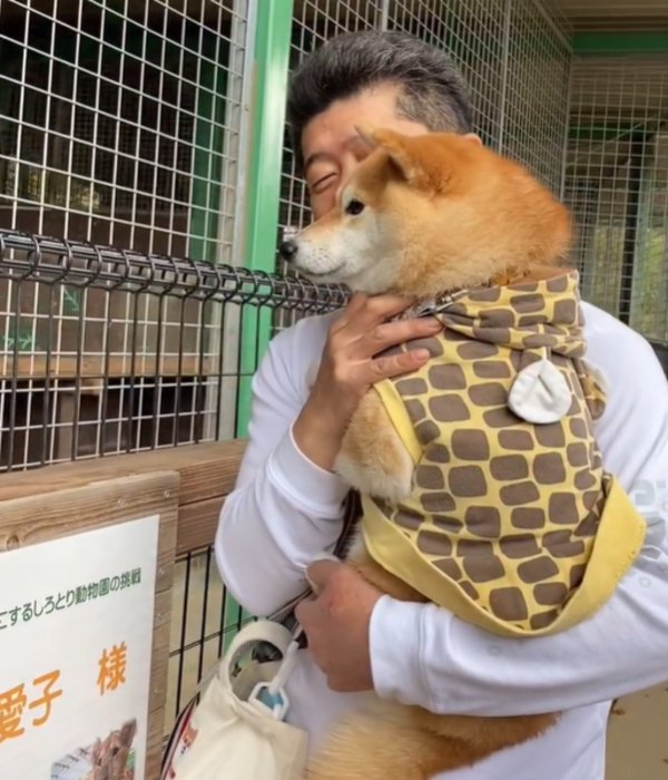 抱っこされる犬2